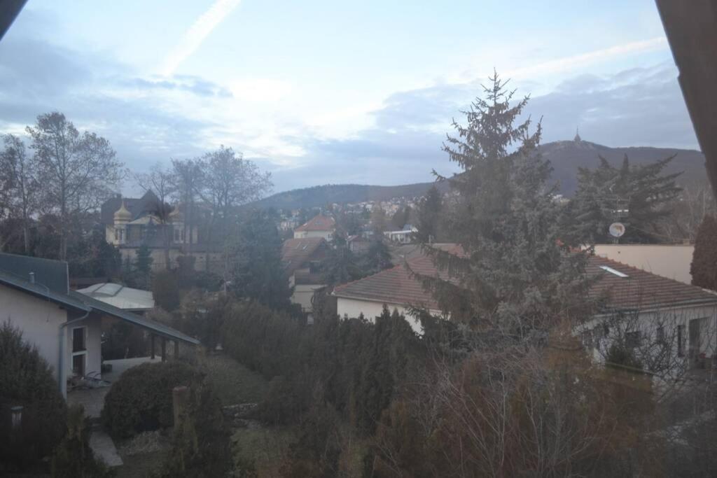 Appartement In Nitra Under The Zobor-Hill Eksteriør billede